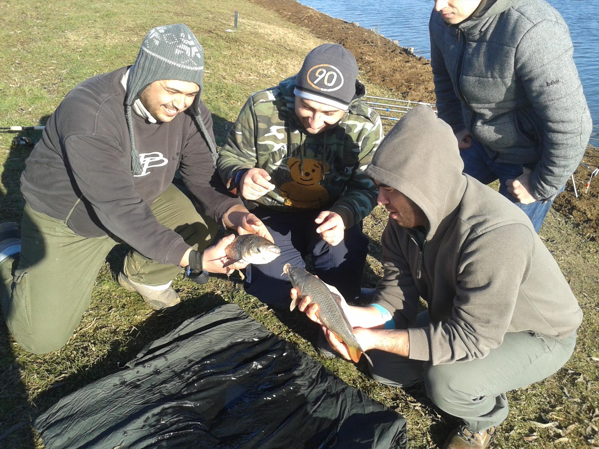 Florea Popestiului 11.01.2014 - 20140111141507.jpg